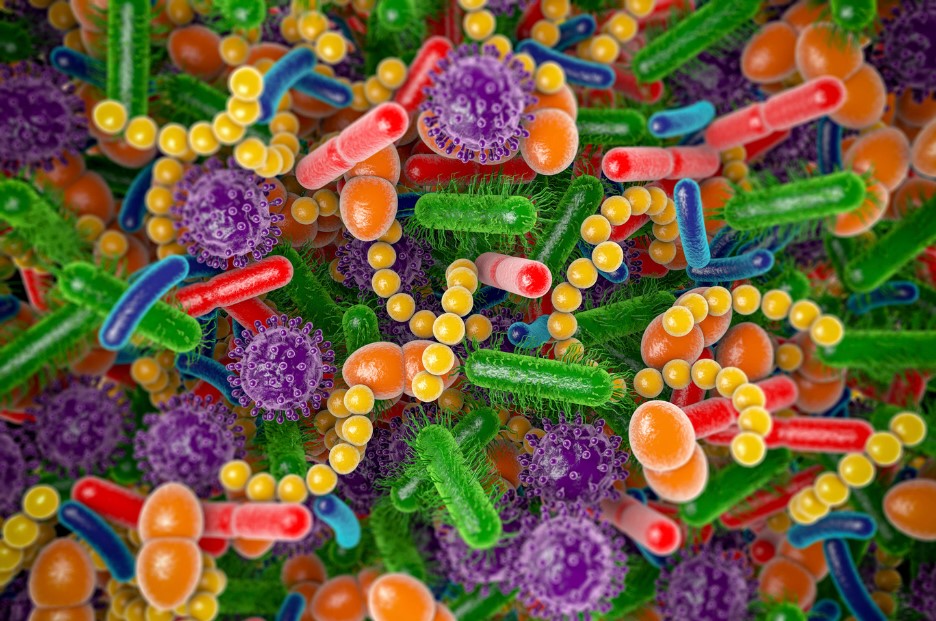 Colourful illustration of the different microorganisms that make up the gut microbiome.