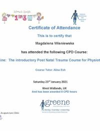 Postnatal Trauma Course