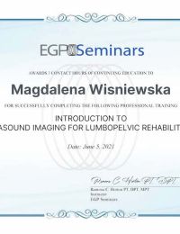 Introduction to Ultrasound Imaging for Lumbopelvic Rehabilitation