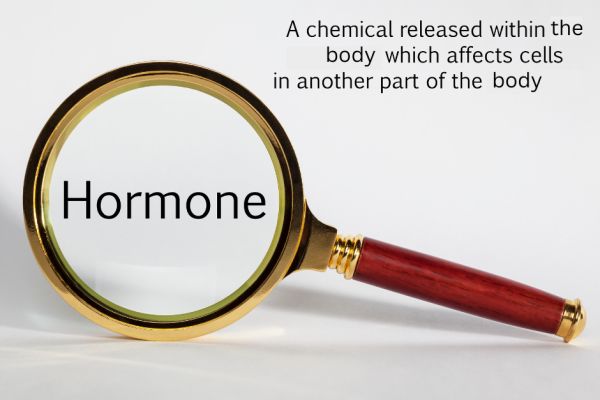 Magnifying glass with a description of what a hormone is.